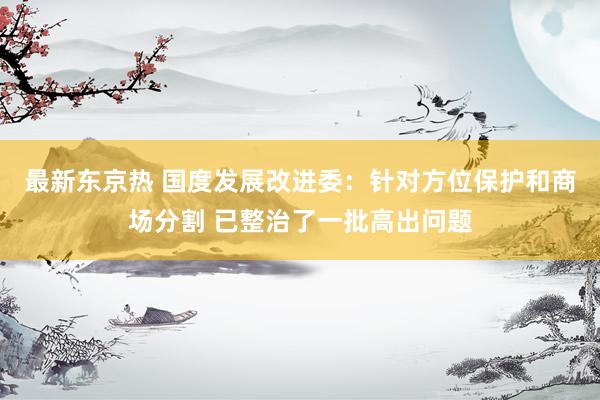 最新东京热 国度发展改进委：针对方位保护和商场分割 已整治了一批高出问题