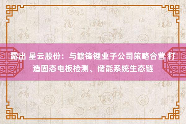 露出 星云股份：与赣锋锂业子公司策略合营 打造固态电板检测、储能系统生态链