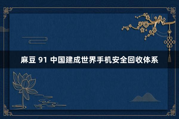 麻豆 91 中国建成世界手机安全回收体系