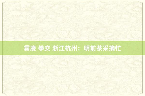 霸凌 拳交 浙江杭州：明前茶采摘忙