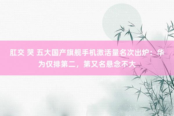 肛交 哭 五大国产旗舰手机激活量名次出炉：华为仅排第二，第又名悬念不大